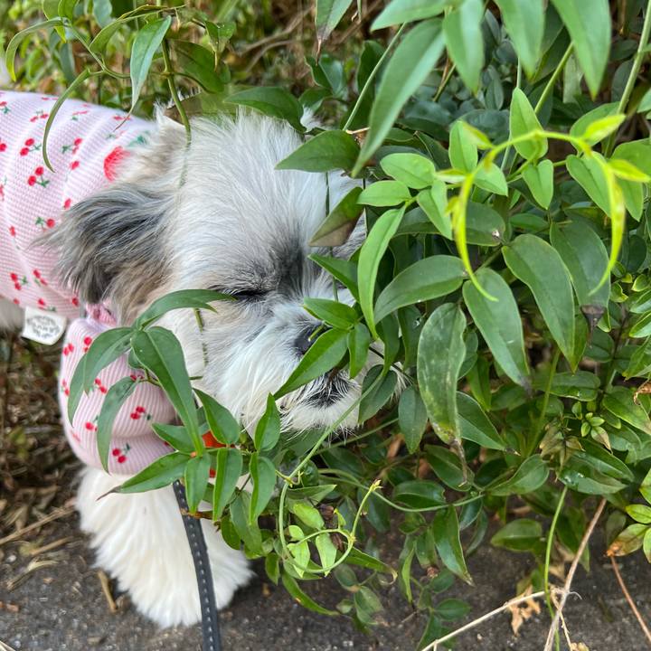 5531e456 c8ac 43e4 8086 eb76c33d4a6a 1730021292826