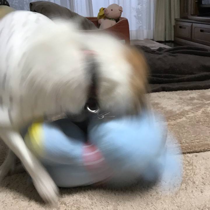 55321a98 6333 40e5 ad5b 7fb2265288d6 1542839012682