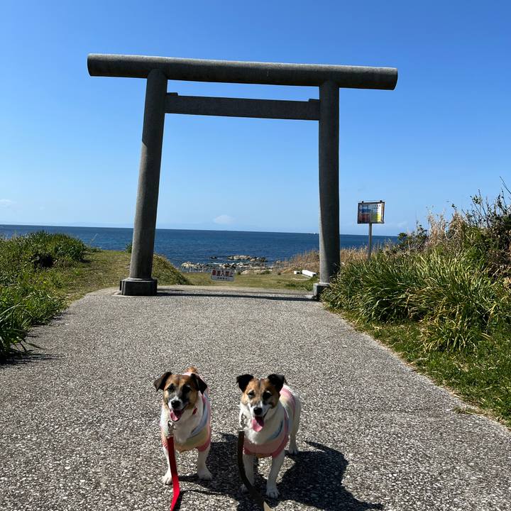 55321ae2 b32c 49d5 b711 100aaf5f7471 1679321669609