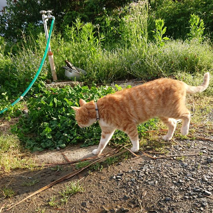 553270bf 202b 44fe bca4 065c011980aa 1590222708879