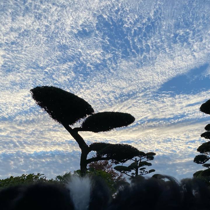 553278c7 c80a 4cf6 bf4c e2420e822210 1635291611294