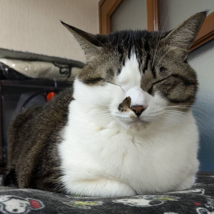 553313ec 658b 4525 80a8 eeeb7dd9c585 1736076573350