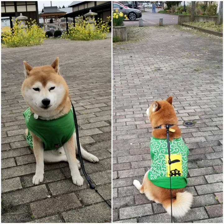 55334709 ae4b 4eaf 96b2 5e0842c2793a 1587627847886