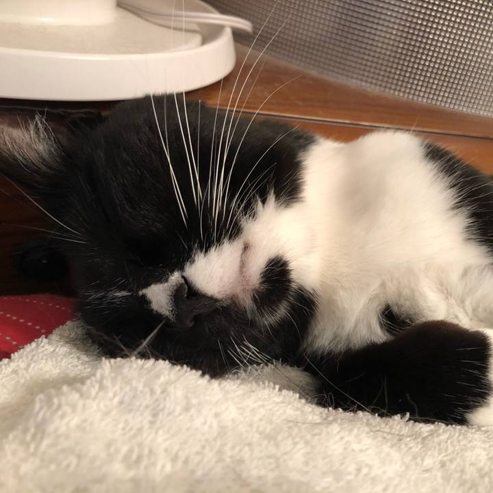 5533472b 71d7 44f6 958a 50faaca3cb16 1562624350869