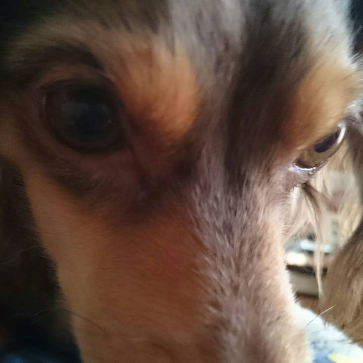 5533528b 7f70 491d ad4d 8af15aaeffd1 1517725963828