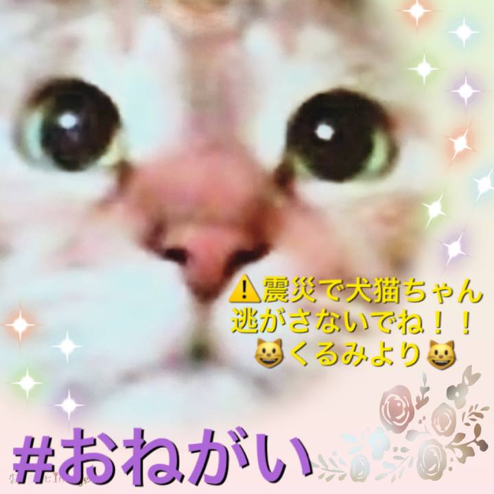 553355d4 16eb 4ab6 98c3 629aab846168 1529298586994