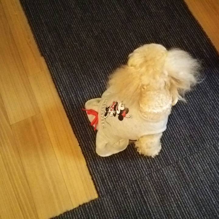 55336c78 79ac 48bf b98d 2ea9a928c3a6 1522842579252