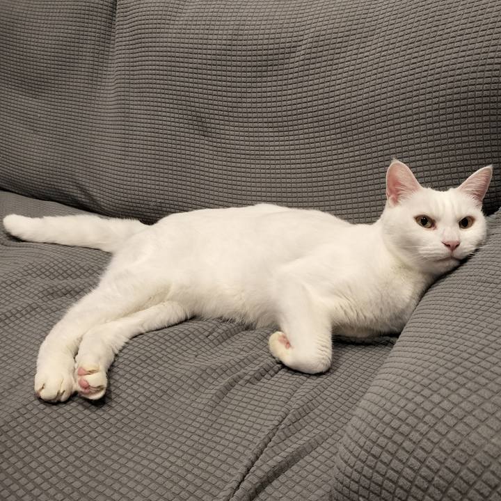 5533787b e161 43cd 94f1 191e8ad765a1 1768276011541