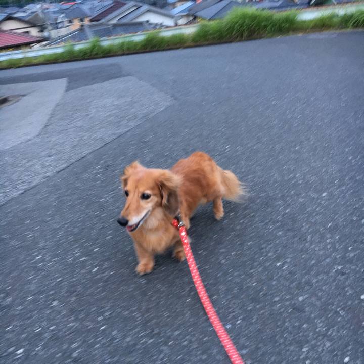 5533be9c 61f6 42c4 bb0d b53e58c211c5 1623588967270