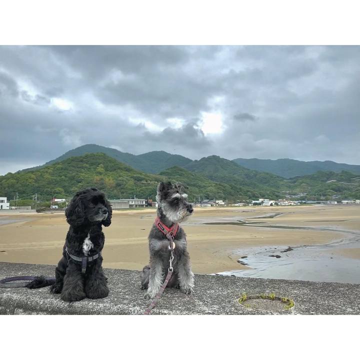 5533d5ae dec3 459c 9284 32daae8af39d 1621339694639