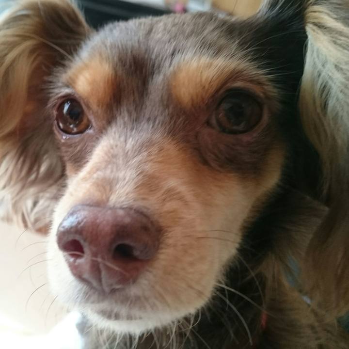 5533e6fc d1cc 4305 8735 26d351f1cdf0 1515907499928