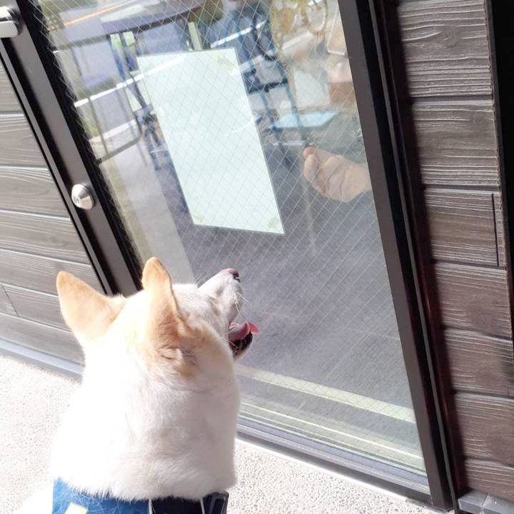 5534045f 0538 415b b965 c1b1442064e9 1694937401676