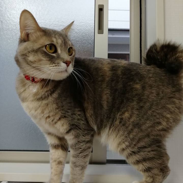 553416e2 49ed 4c88 9311 34c27d0aa00e 1515716602853