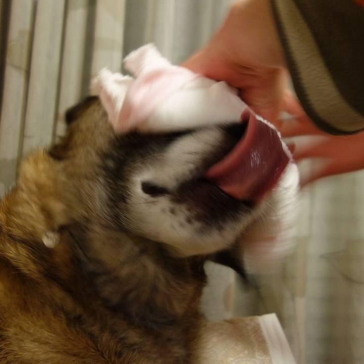 553432db 67d5 4f8f a3de 17860f4c894a 1516108829813