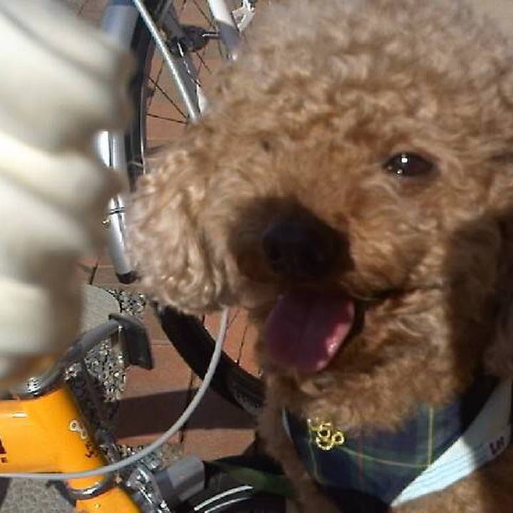 55346c3b 3578 4ed6 892d e0be5674505a 1564577521249