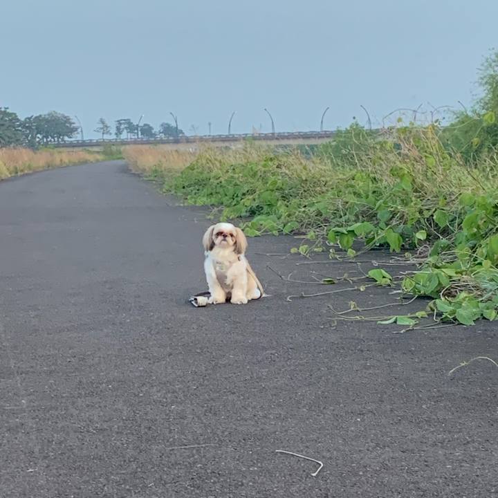 55347633 2b57 4b6c bfdd 32f2d1b3a72f 1681997081046