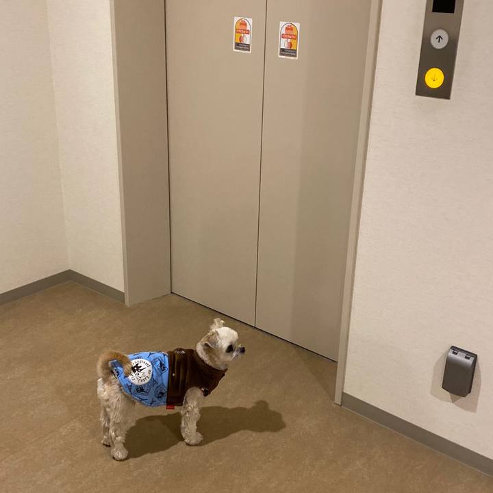 553492a2 304a 4eba 974a 9a186d4d3286 1579315865911