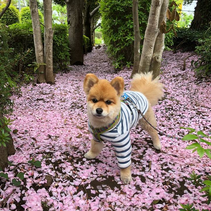 5534a87c 26d8 49b7 a3de 51401feb2e0e 1618531869432