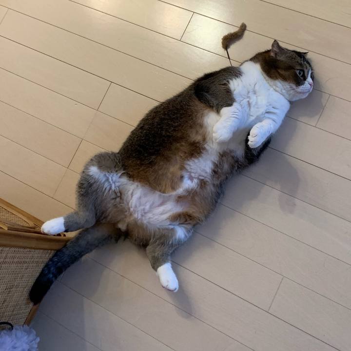 5534db2d 292e 4fda 87d0 fe5e136195df 1568587340877