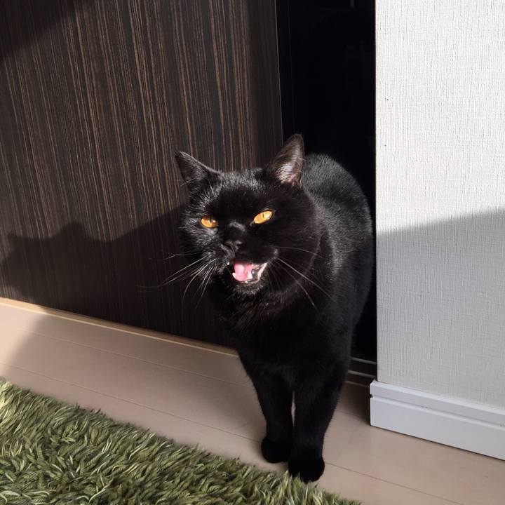 5534e362 3b22 4287 a577 868718e415d3 1523660509101