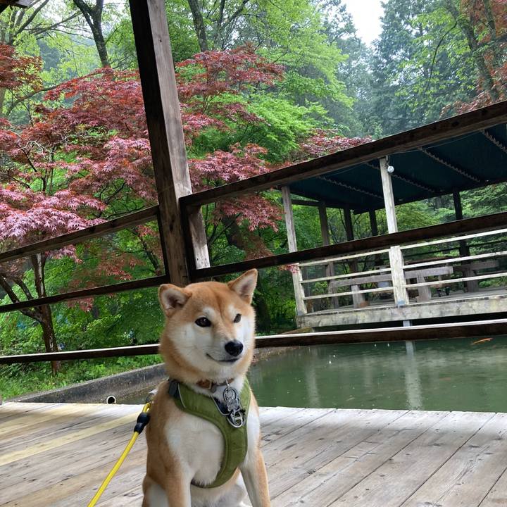 55354d88 9895 4367 80ea 822d02d7e0f0 1650779261652