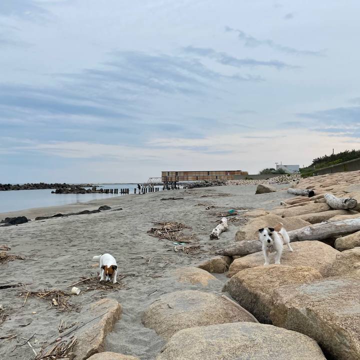 553568d5 5569 464c 8705 57bfec24770d 1685058921441