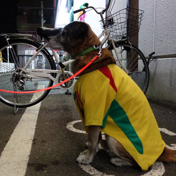 55358abd 1177 4f6f a055 f63c8f2b24ef 1626740226823