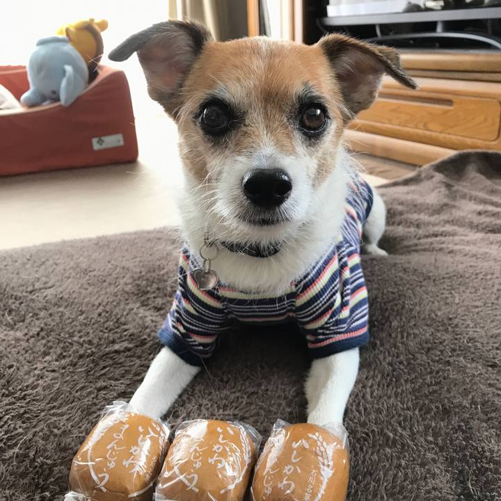 55359039 929f 435a a73a 9bc4f082d0c2 1572758099278