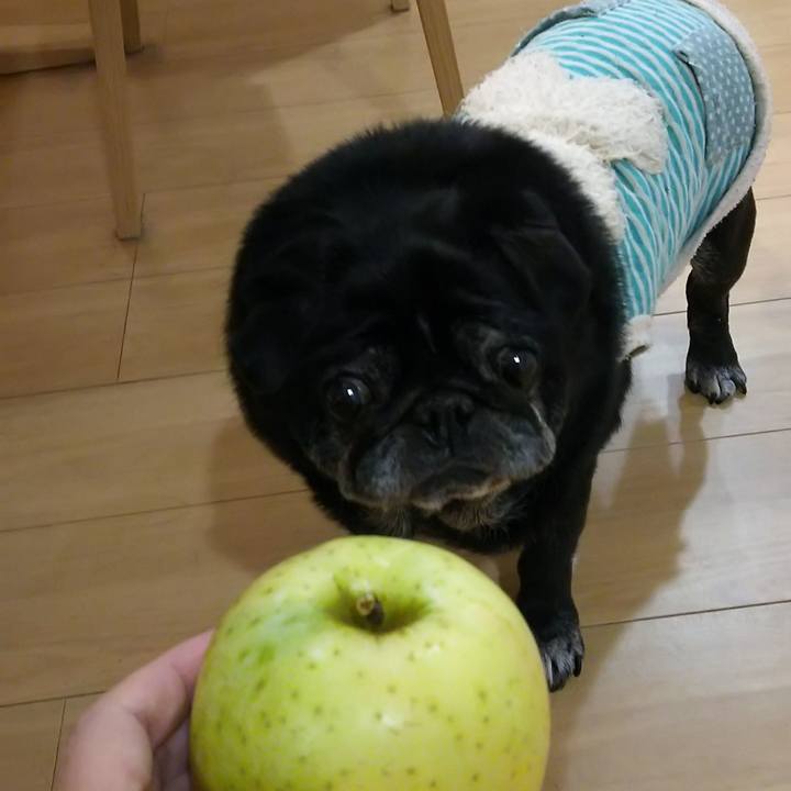 55359c85 d221 4332 a845 23be9d01d9cd 1606482584558