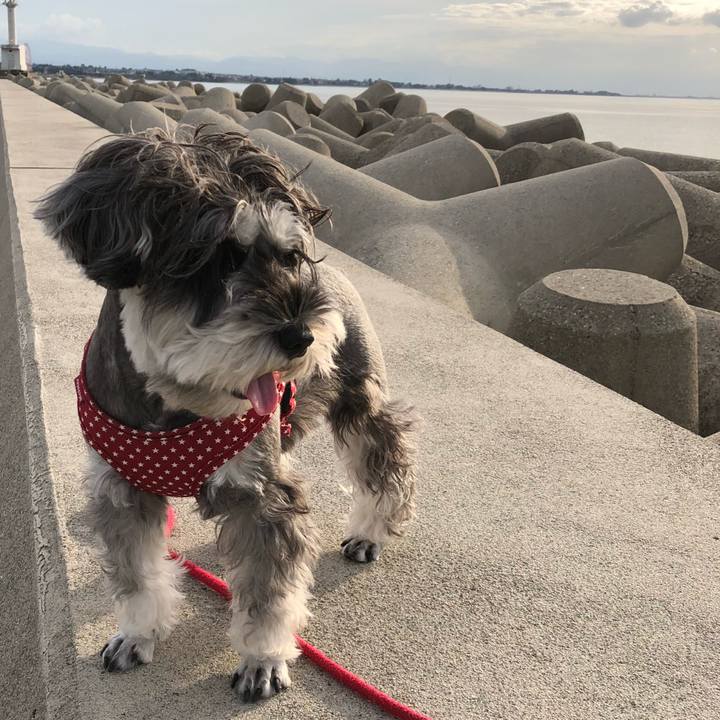 5535deb1 51ea 4355 8433 26e5bc4313f2 1539335378982