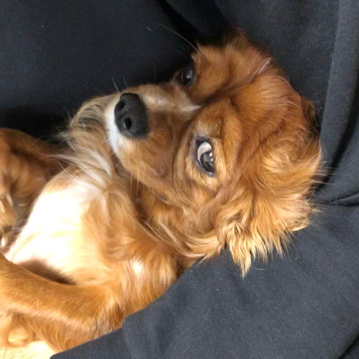 5535effa 8ed1 4247 85db ea7041790c39 1604527845328