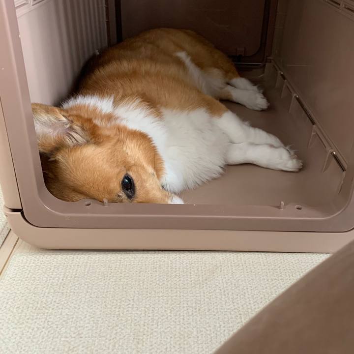 5535f4ee ee6c 455f a186 c4f97b230cea 1688465953565