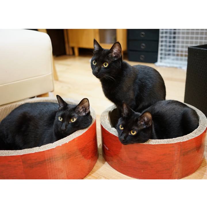 55368acf b0a7 4440 b5d9 92b6b05de078 1517667337939