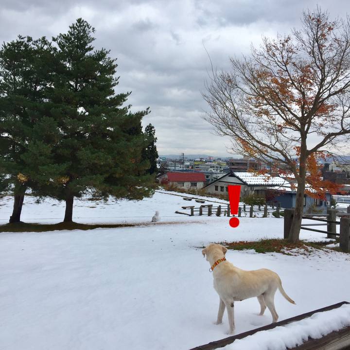 5536aaaf a59b 4bc5 9501 f1834798b347 1511233424139