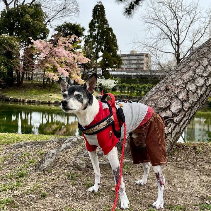 5536d1b0 d0e2 4c68 b898 e2fcc25e8313 1647834169143