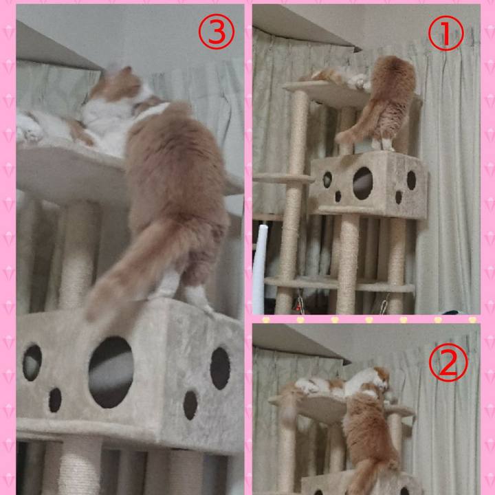 5536db99 00c2 40d9 a306 18a514455c6e 1514005833675