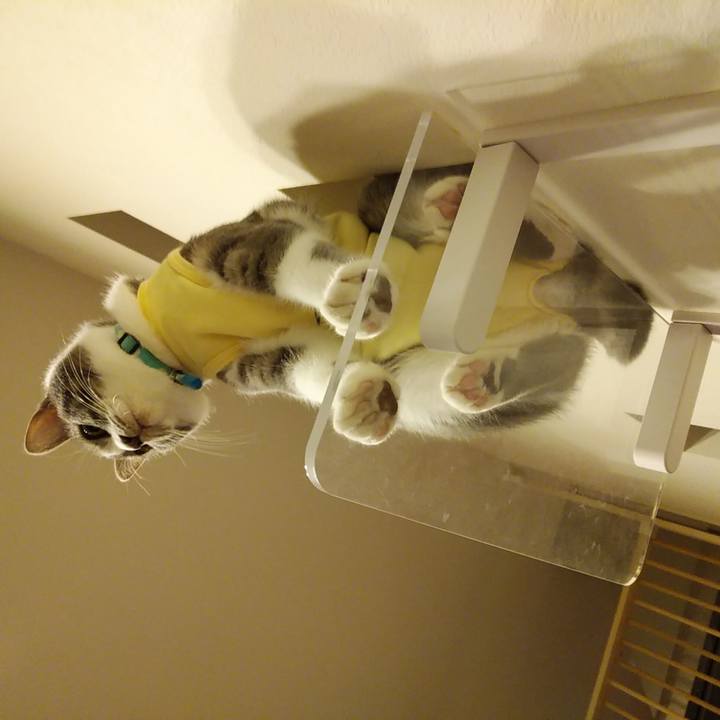 55371cfe 45c9 4e31 97c3 61eef02254ac 1584624915384