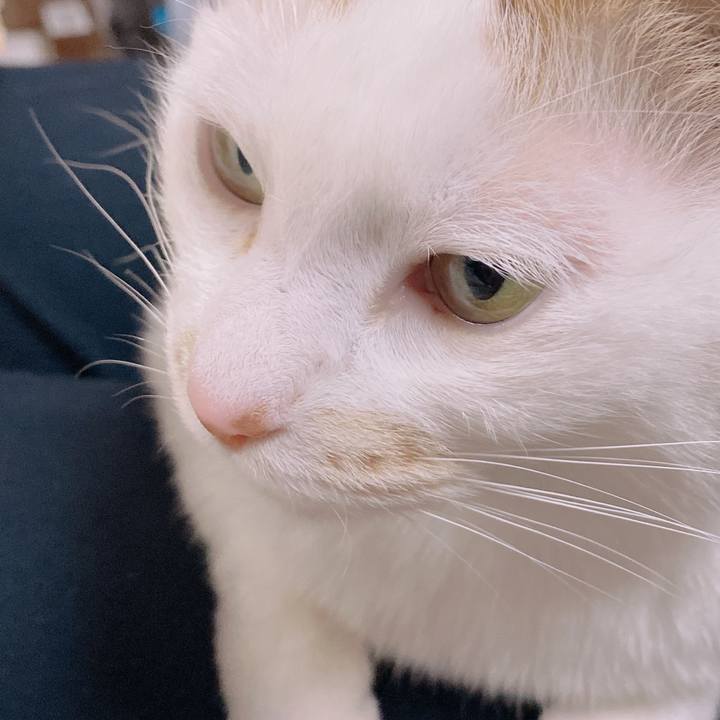 55371df9 4f94 4c74 aca8 3efcfb71f617 1649480519488