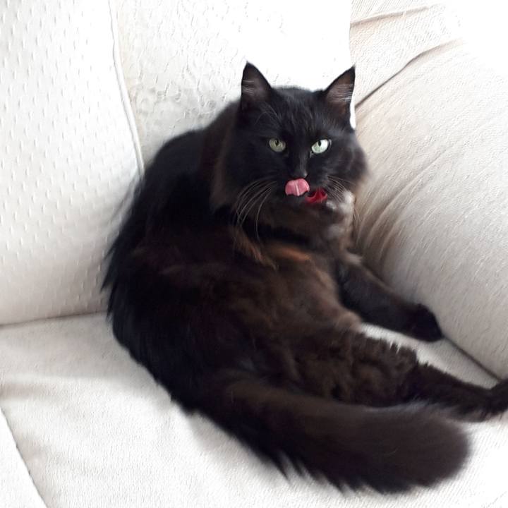 55375e33 c5c1 44cf a9d6 94a4afc855f8 1516853483097