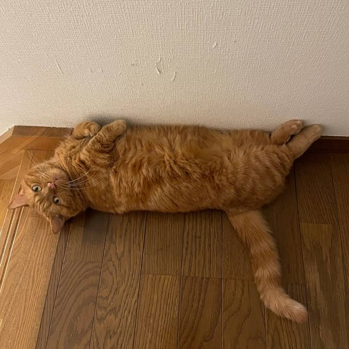 55376d57 a1d4 4a65 b798 1335c493e0d4 1691304607840