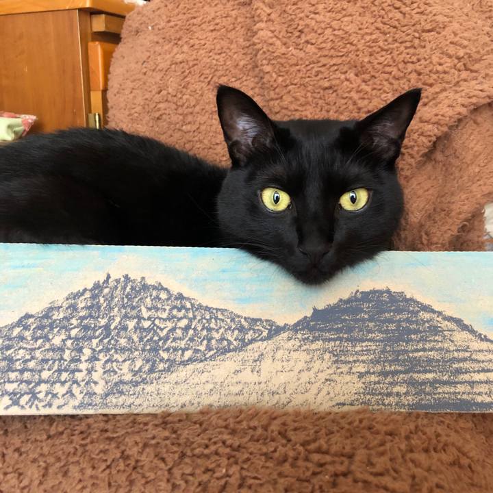 5537a9e1 fa4d 442a 8233 96fafc1c5c86 1576455920291