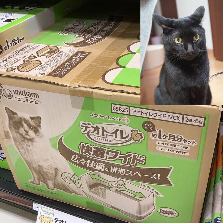 5537d2aa f00e 417e 8741 a74044609565 1602906964327