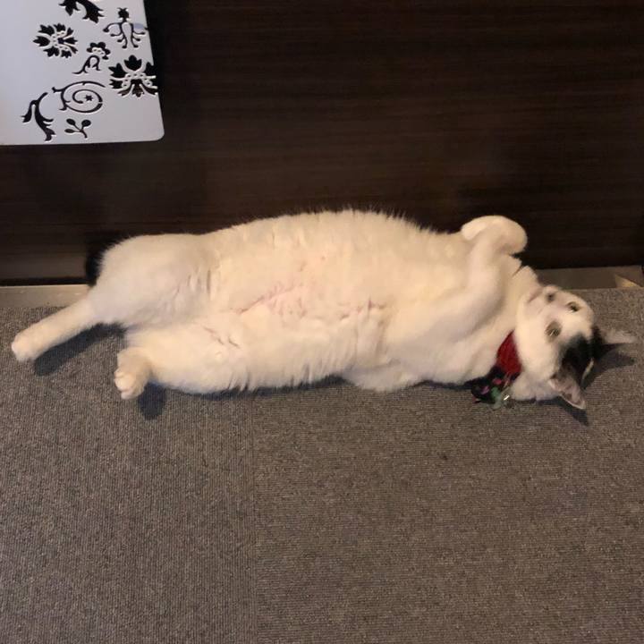 5537ec8f 0eab 4d6e 9778 8fd48b27f1f1 1520983164833