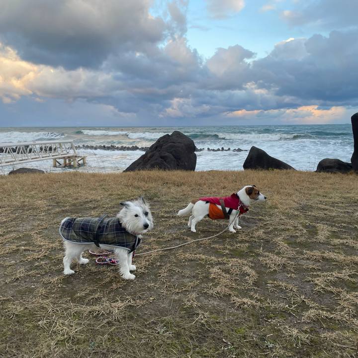 5537fa05 3489 44bc 8f53 c59969172749 1733959706803