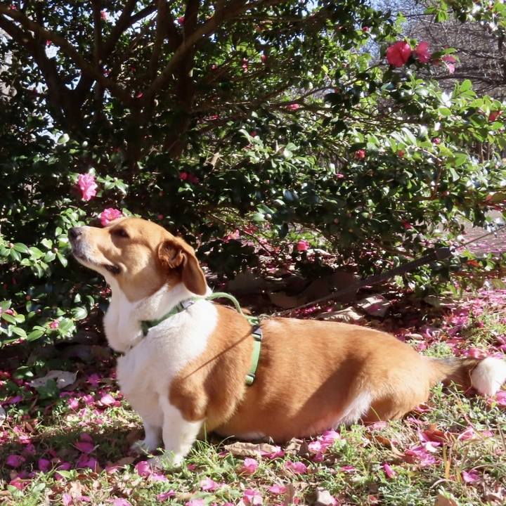 55383ad7 60af 4e6b 9751 34822b144f8a 1709424087588