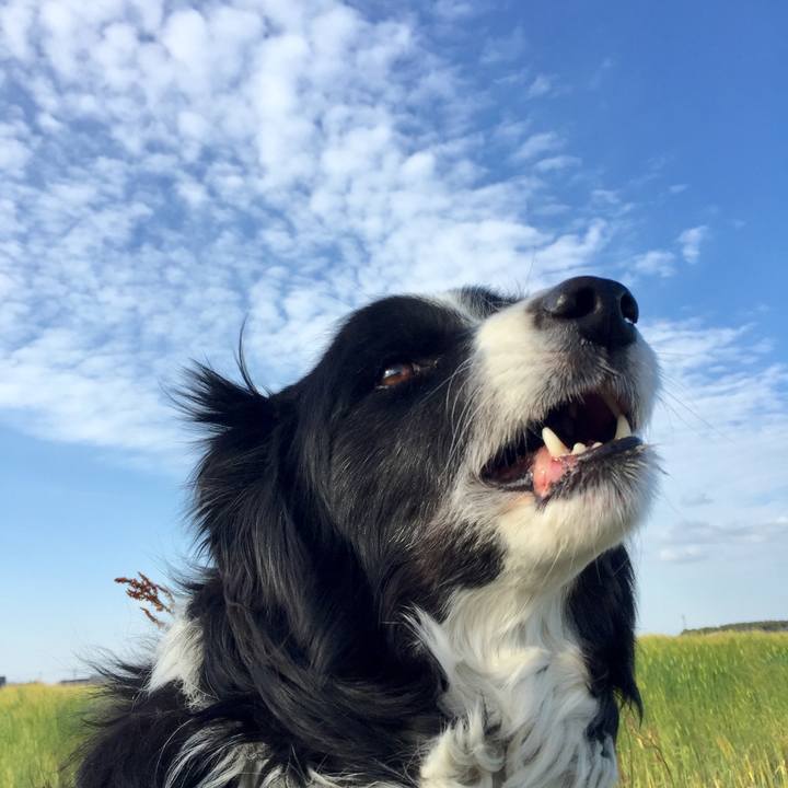 55386a08 05ca 4133 9552 7fae2d515c66 1587510972219