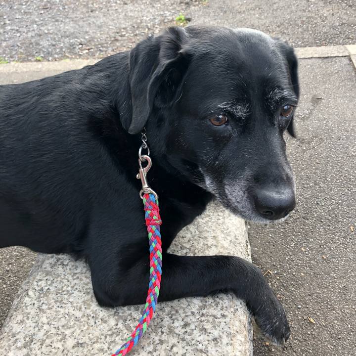 553880f7 b635 4f8a b9d8 b0ee3fc4002f 1583740050711