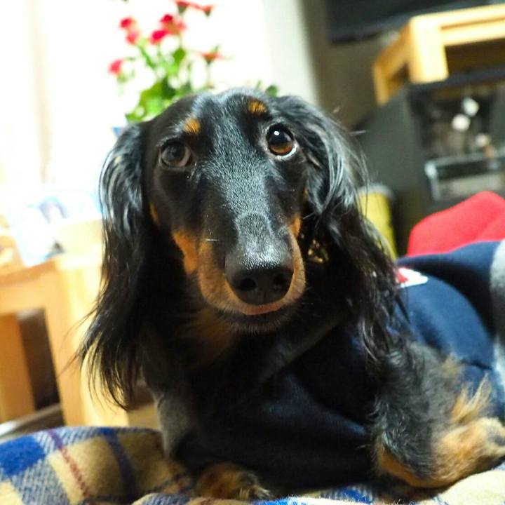 553888f6 36ad 4fd1 909f 68a55720654a 1515456765548