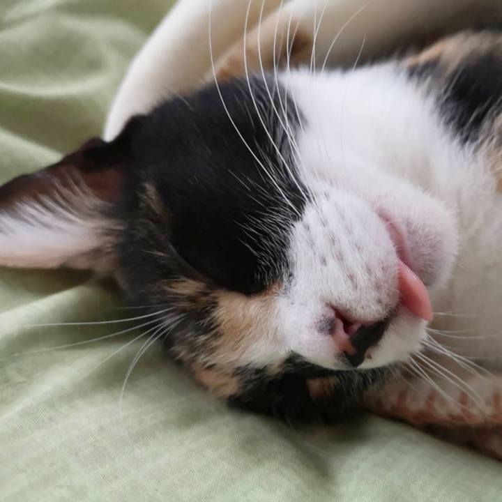 55389eb8 45fa 40b0 ae71 c1da3c39eeb8 1604305519014