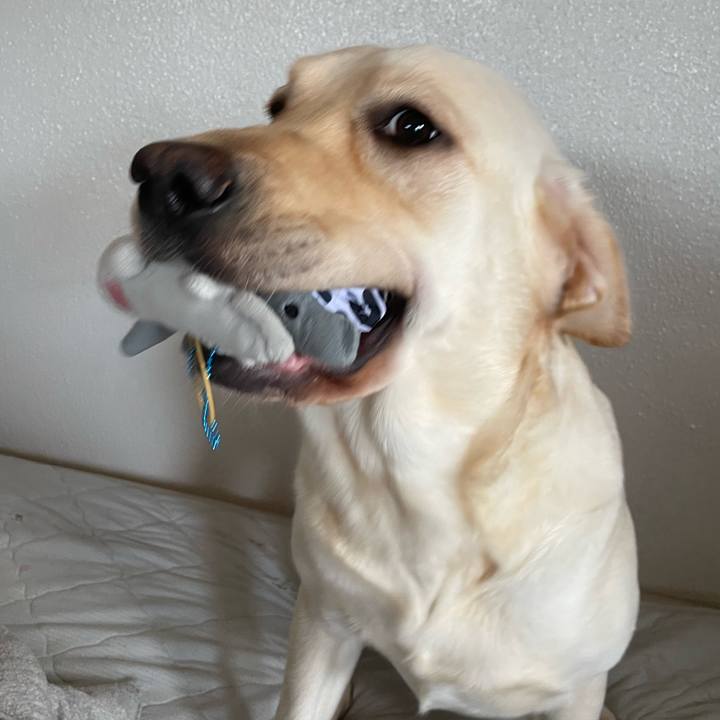 5538d5da c695 4beb 81ec a8ca6c28782a 1664249781234